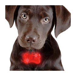 Targhetta Led per Cani Rosso Forma di Osso Set Ciondolo Sicurezza Identificativa precio