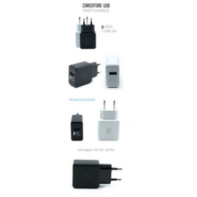-senza Marca/generico- - 1 PZ Di CARICATORE CON SINGOLA USB 220V 9V FAST CHAR