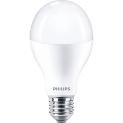 LED (monocolore) Classe energetica: A+ (A++ - E) Philips Lighting A67 66216500 E27 Potenza: 17 W Bianco caldo 17 k características