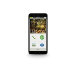 Smart 3 Mini 12,7 cm (5') SIM singola Android 9.0 4G Micro-USB 2 GB 16 GB 2500 mAh Nero - Emporia en oferta