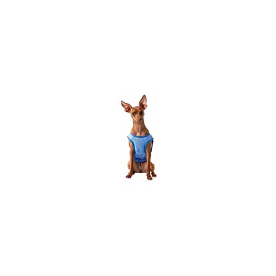 GF Pet 79g68522 ELASTOFIT Gilet refrigerante, XS, 130 g