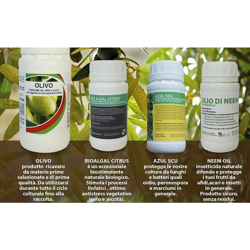 Kit Magnifico Uliveto características