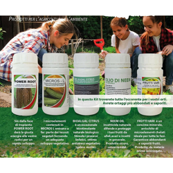 Kit Magnifico orto en oferta