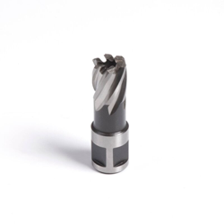 20S - Brocciatrice serie corta 20 x 25 mm - Evolution en oferta