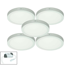 5 x Plafoniera a LED 24W AC 220-240 V 1760 Lumen ?300 mm Rotonda Angolo di emissione 160 ? - IP53 - LED Pannello Bianco Neutro 4000K Faretto Rotondo características