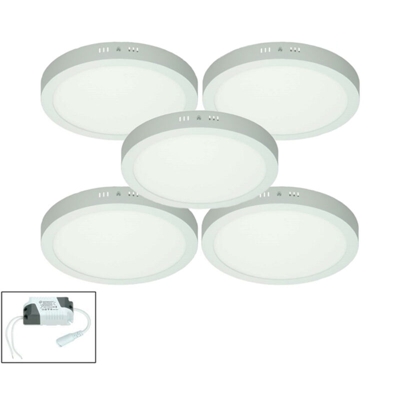 5 x Plafoniera a LED 24W AC 220-240 V 1760 Lumen ?300 mm Rotonda Angolo di emissione 160 ? - IP53 - LED Pannello Bianco Neutro 4000K Faretto Rotondo