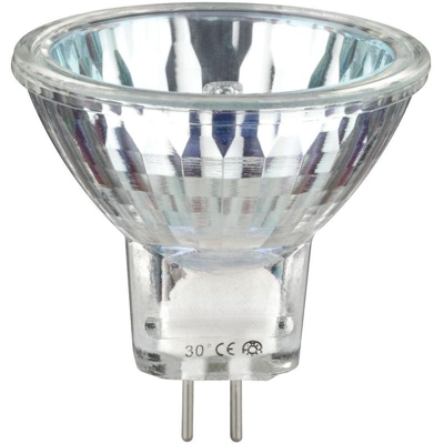 Halogen Reflektor Akzent flood 30 - Paulmann