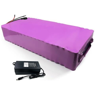 Batteria 42ah 16s12p 60v E-bike Ebike Bicicletta Elettrica Agli Ioni Di Litio Triciclo Personalizzabile 385x190x70mm