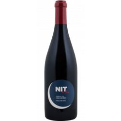 NIT DE NIN - LA COMA D'EN ROMEU 2018 - FAMÍLIA NIN ORTIZ características