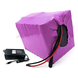 49ah 10s14p 36v Batteria E-bike Ebike Bicicletta Elettrica Li-ion Personalizzabile 190x150x135mm características