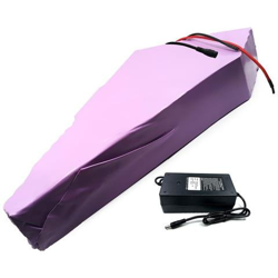 31,5 Ah 16s9p 60 V Batteria E-bike Ebike Bicicletta Elettrica Li-ion Motocicletta Triciclo Personalizzabile 280x245x95x260x45x70mm precio