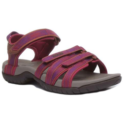 Tirra In Purple características