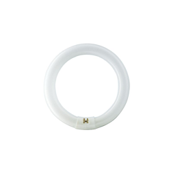 840 506 circolare G10q lampadina 22W - MASTER TL-E Super 80 - 4000K - Philips características