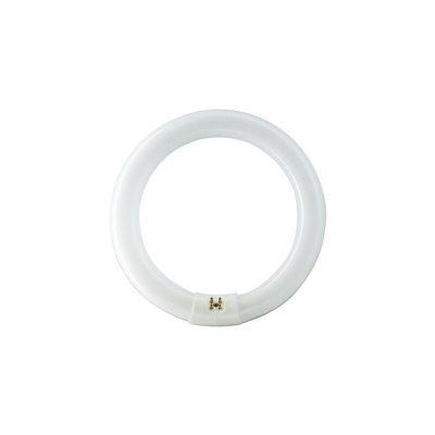 840 506 circolare G10q lampadina 22W - MASTER TL-E Super 80 - 4000K - Philips