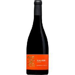 BEAUMES DE VENISE ROUGE 2019 - XAVIER VIGNON en oferta