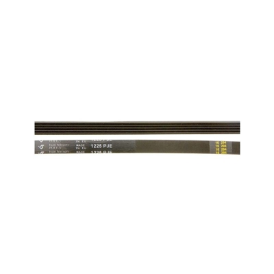 Recamania - Cinghia lavatrice CANDY tipo 5EPJ 1225 GVS139DC3137, GVS138DC3137, HL1272D3137
