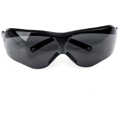 Occhiali 3M 10435, occhiali antipolvere e antivento, occhiali protettivi per equitazione sportiva, grigio 1 paio / borsa