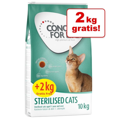 10 kg + 2 kg - Concept for Life Overfill - All Cats