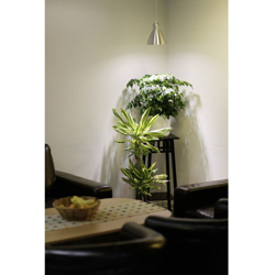 Lampadina per piante 89.5 mm 230 V E27 6 W Bianco neutro Riflettore 1 pz. - Venso precio