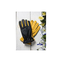 Wagner características