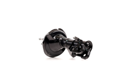 RIDEX Ammortizzatori 854S1152 Ammortizzatore HONDA,CR-V II (RD_) precio