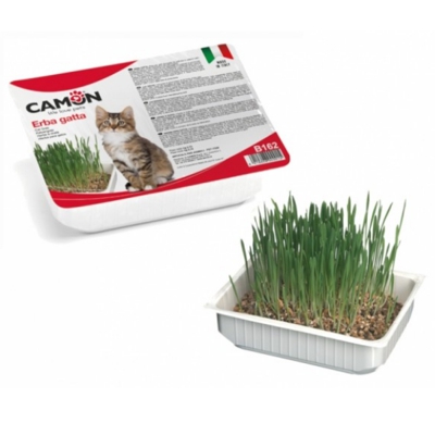 Camon Erba Gatta Vaschetta Orzo: 1 pezzo