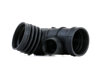 RIDEX Flessibile d'aspirazione, Filtro aria 1591I0014  BMW,5 Sedan (E39),5 Touring (E39),7 (E38)