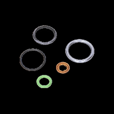 PLANET TECH Guarnizioni PL6015 Kit guarnizioni, Iniettore CITROËN,PEUGEOT,C3 I Hatchback (FC_, FN_),C3 II (SC_),C2 (JM_),C3 Pluriel (HB_)