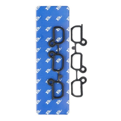 FA1 Kit guarnizioni, Collettore aspirazione 510-017Z  BMW,WIESMANN,X3 (E83),3 Sedan (E46),5 Sedan (E60),3 Touring (E46),5 Touring (E61),X5 (E53)