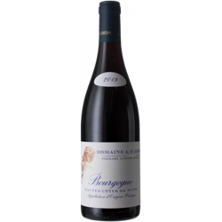 HAUTES COTES DE NUITS 2019 - DOMAINE A.-F. GROS en oferta