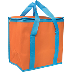 Borsa frigo rettangolare in oxord 600D - capacità 16 L ARANCIONE 28x20x28Cm en oferta