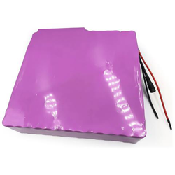 49ah 13s14p 48v Batteria E-bike Ebike Bicicletta Elettrica Li-ion Personalizzabile 265x250x70mm precio