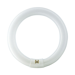 lampadina 16221915 G10q TLE CF 32W / BI 33 1CT - Mazda precio