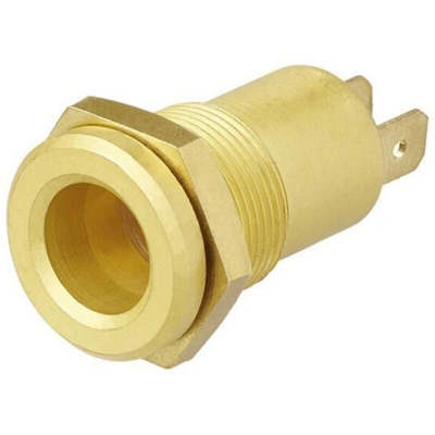 ProPlus Presa da incasso Heavy Duty DIN 12 V ottone