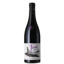 TERRA SANS SOUFRE AJOUTE 2020 - VINS GUILLAUME GANGLOFF características