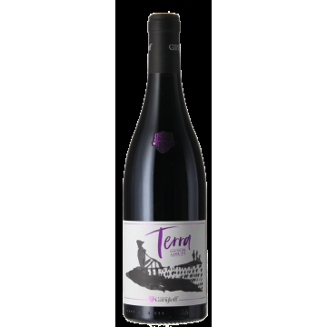 TERRA SANS SOUFRE AJOUTE 2020 - VINS GUILLAUME GANGLOFF