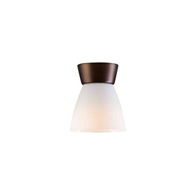 Belid Bizzo - Faretto Da Incasso A Soffitto A 1 Luce Oxide, E27