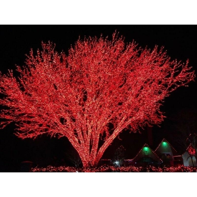 Catena luminosa di natale 120 maxi led flash rosso mt.10,50 prolungabile 30pz - Gtr