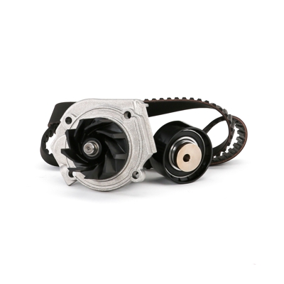 METELLI Pompa Acqua + Kit Cinghia Distribuzione 30-1030-1 Pompa Acqua + Kit Cinghie Dentate,Pompa OPEL,FIAT,ALFA ROMEO
