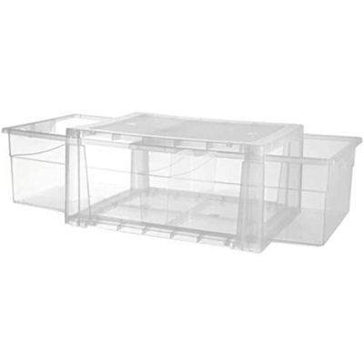 ABM - Contenitore spider bianco trasparente