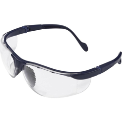 2012006 Occhiali di protezione Nero - Protectionworld en oferta