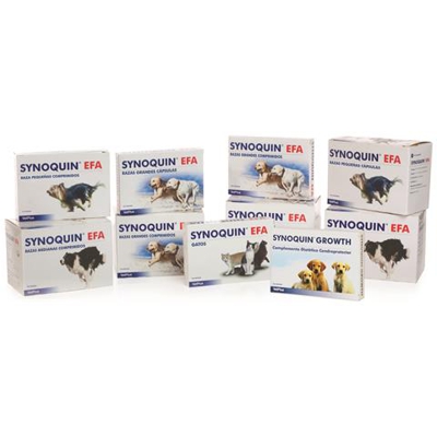 Synoquin Large Breed 30 Veg 120 Tablets