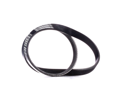 RIDEX Cinghia Poly-V 305P0340  FIAT,HYUNDAI,KIA,BRAVO I (182),BRAVA (182),i10 (PA),ATOS (MX),GETZ (TB),Picanto (SA),GEMINI (JT)