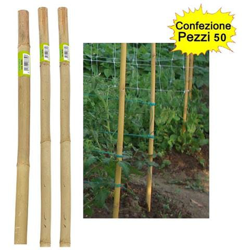 Tutori In Bamboo Pesante 50 Pezzi 22-24 Mm X Altezza 240 Cm Pareti Divisorie Pali Pomodori precio