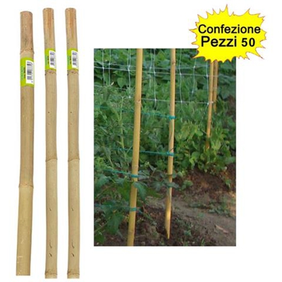 Tutori In Bamboo Pesante 50 Pezzi 22-24 Mm X Altezza 240 Cm Pareti Divisorie Pali Pomodori