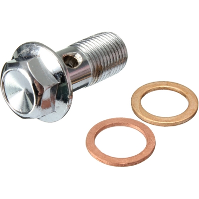 Drillpro - 2x vite in acciaio inox per moto Banjo Bolt 10mm M10 x 1.00 Cilindro maestro pinza freno