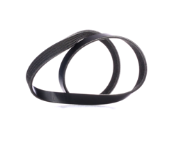 RIDEX Cinghia Poly-V 305P0336  DAEWOO,RENAULT,SUBARU,LANOS (KLAT),LANOS Tre volumi (KLAT),NEXIA (KLETN),ESPERO (KLEJ),NEXIA Tre volumi (KLETN) en oferta