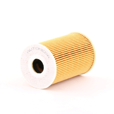 AUTOMEGA Filtro Olio 180040710  VW,SKODA,AUDI,Golf V Hatchback (1K1),GOLF VI (5K1),Polo Hatchback (6R1, 6C1),TOURAN (1T1, 1T2),Passat Variant (3C5)