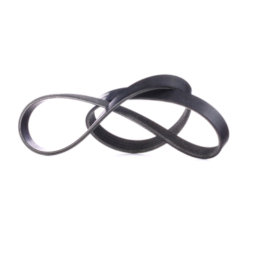 RIDEX Cinghia Poly-V 305P0176  BMW,FIAT,OPEL,X5 (E53),CROMA (154),GT Roadster (M07),Escort VI Station Wagon (GAL, ANL)