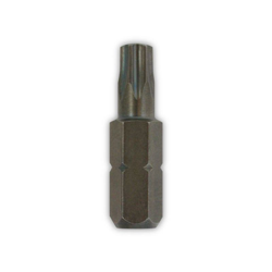 INS Inserto con impronta TORX T-15 L25 mm - Friulsider precio